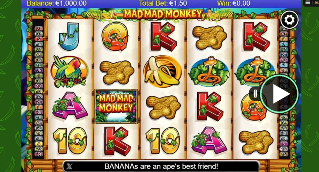 Mad Mad Monkey tema